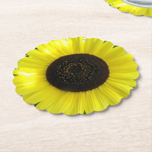 Summer Garden Sunflower Kartonnen Onderzetters (Gekanteld)