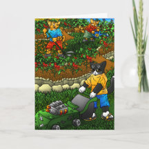 Summer Gardening Cats