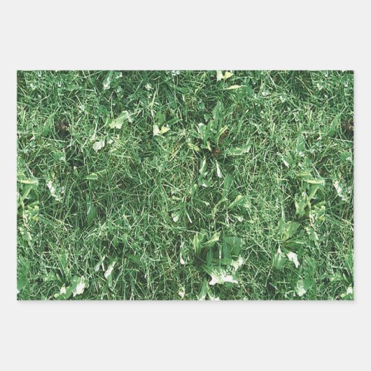 Summer Grass Inpakpapier Vel (Voorkant 2)