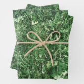 Summer Grass Inpakpapier Vel (In situ)