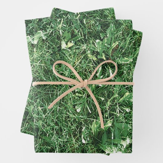 Summer Grass Inpakpapier Vel (In situ)