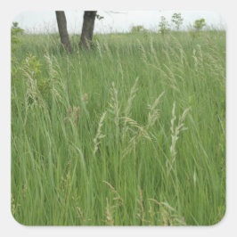 Summer Grass Sticker van H.A.S. Arts