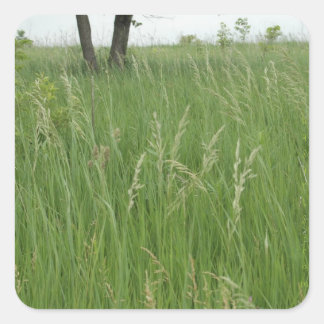 Summer Grass Sticker van H.A.S. Arts