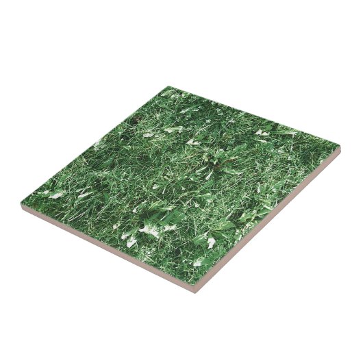 Summer Grass Tegeltje (Zijkant)