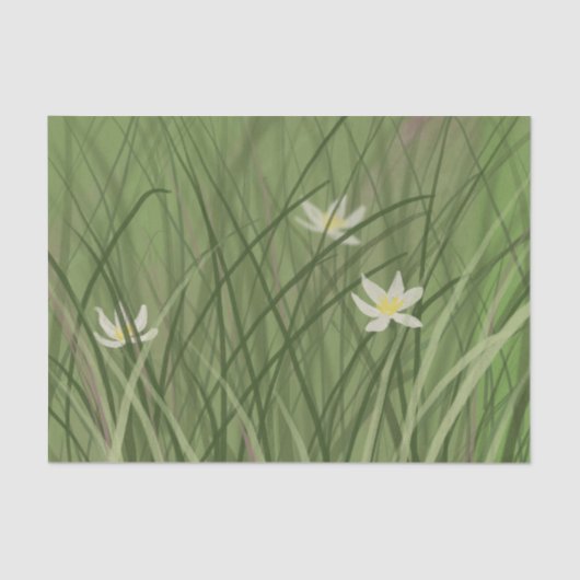 Summer Grass Tissuepapier (Voorkant)