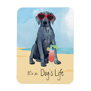 Summer Great Dane Magnet Magneet