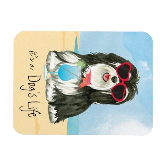 Summer Havanese Magneet (Horizontaal)