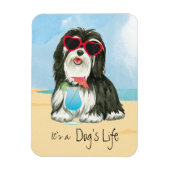 Summer Havanese Magneet (Verticaal)