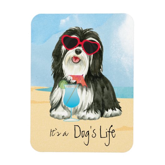 Summer Havanese Magneet (Verticaal)