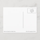 Summer holidays in Sicily text postcard Feestdagenkaart (Achterkant)