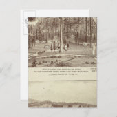 Summer Home, Lewis Briefkaart (Voorkant / Achterkant)