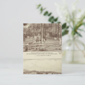 Summer Home, Lewis Briefkaart (Staand voorkant)