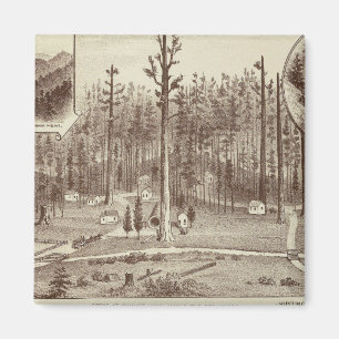 Summer Home, Lewis Magneet