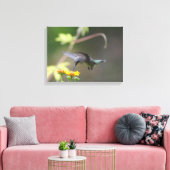 Summer Hummer Canvas Afdruk (Insitu (Woonkamer))