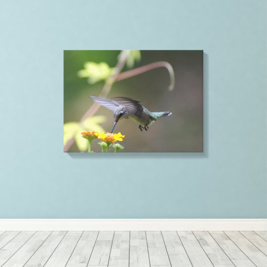 Summer Hummer Canvas Afdruk (Insitu (Houten vloer))