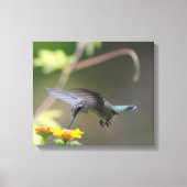 Summer Hummer Canvas Afdruk (Voorkant)