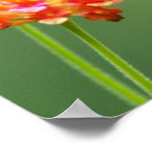 Summer Hummer Poster (Hoek)