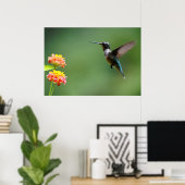 Summer Hummer Poster (Thuiskantoor)