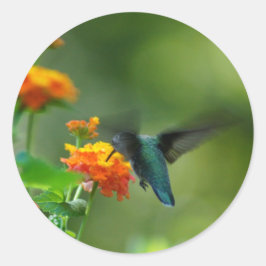 Summer Hummer. Ronde Sticker