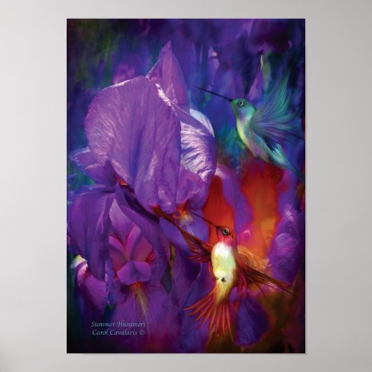 Summer Hummers Art Poster/Print Poster (Voorkant)