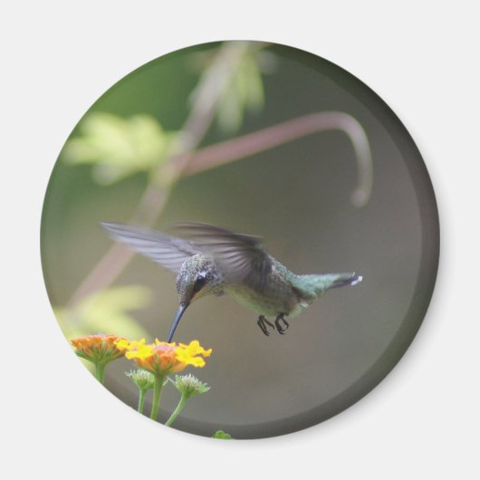Summer Humming Magneet (Voorkant)