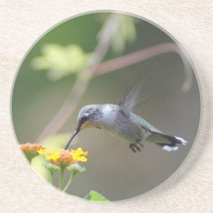 Summer Humming Zandsteen Onderzetter