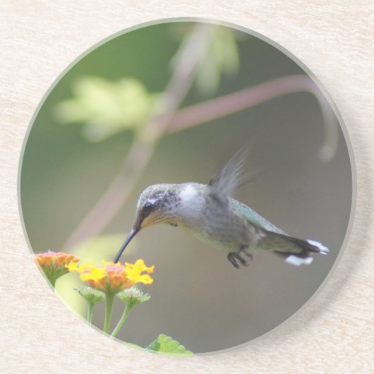 Summer Humming Zandsteen Onderzetter (Voorkant)