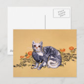 Summer Hunter Briefkaart (Voorkant / Achterkant)