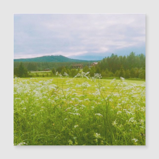 Summer in Hälsingland - Helsingia  (Voorkant)