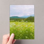 Summer in Hälsingland - Helsingia  Acryl Uitnodigingen (Insitu (Draagbaar))