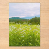 Summer in Hälsingland - Helsingia  Acryl Uitnodigingen (Voorkant)