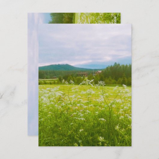 Summer in Hälsingland - Helsingia  Briefkaart (Voorkant / Achterkant)