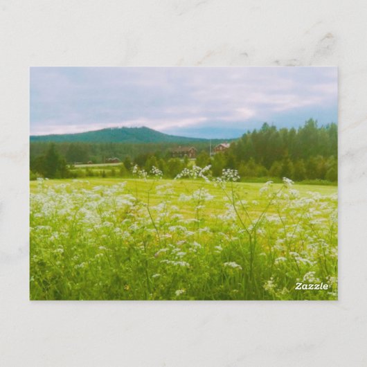 Summer in Hälsingland - Helsingia  Briefkaart (Achterkant)