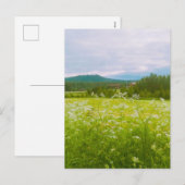 Summer in Hälsingland - Helsingia  Feestdagenkaart (Voorkant / Achterkant)