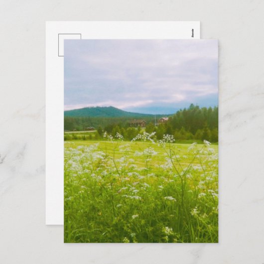 Summer in Hälsingland - Helsingia Feestdagenkaart (Voorkant / Achterkant)