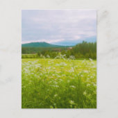 Summer in Hälsingland - Helsingia  Feestdagenkaart (Voorkant)