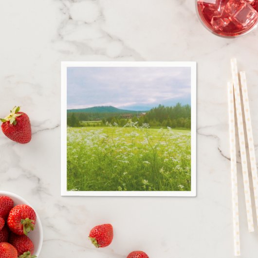 Summer in Hälsingland - Helsingia  Servet (Insitu)