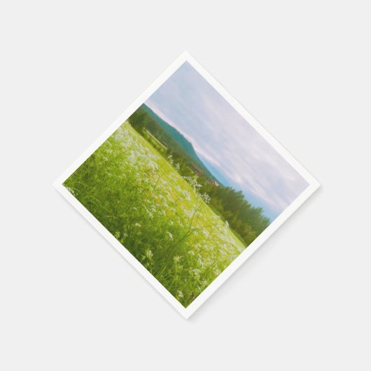 Summer in Hälsingland - Helsingia  Servet (Hoek)