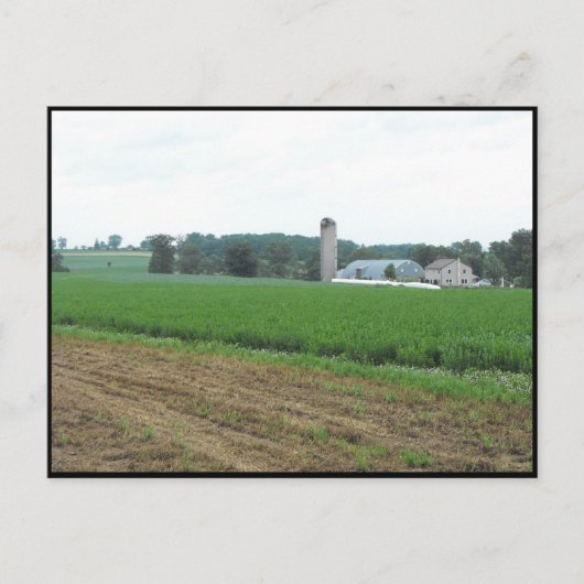 ~ Summer in Lancaster County ~ 10 Briefkaart (Voorkant)