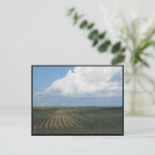 ~ Summer in Lancaster County ~ 34 Briefkaart (Staand voorkant)