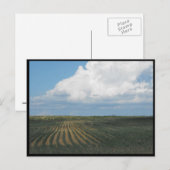 ~ Summer in Lancaster County ~ 34 Briefkaart (Voorkant / Achterkant)
