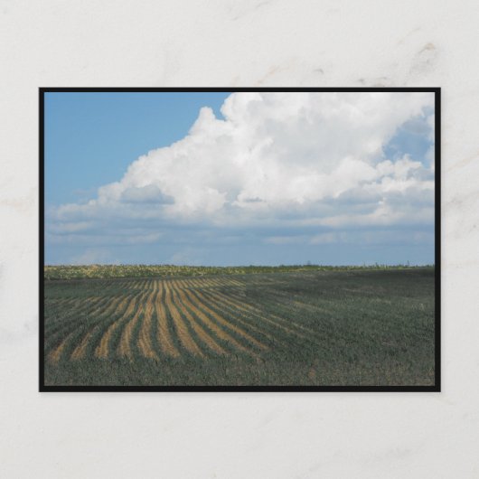 ~ Summer in Lancaster County ~ 34 Briefkaart (Voorkant)