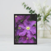 ~ Summer in Lancaster County ~ 39 Briefkaart (Staand voorkant)