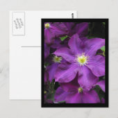 ~ Summer in Lancaster County ~ 39 Briefkaart (Voorkant / Achterkant)