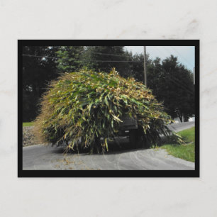 ~ Summer in Lancaster County ~ 56 Briefkaart