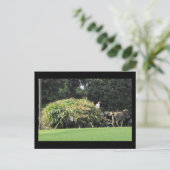 ~ Summer in Lancaster County ~ 57 Briefkaart (Staand voorkant)