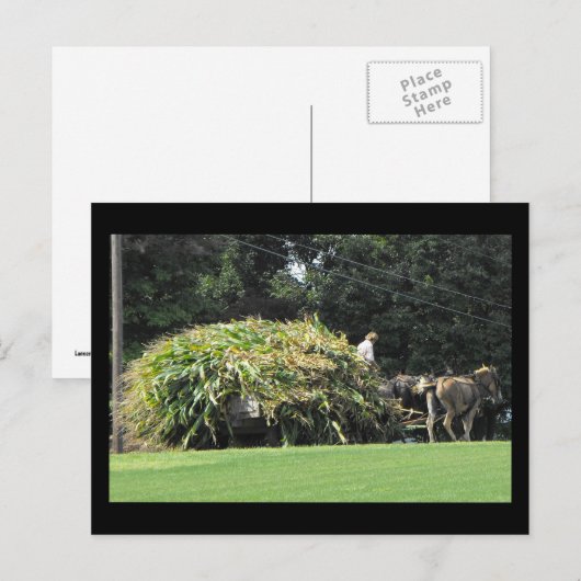 ~ Summer in Lancaster County ~ 57 Briefkaart (Voorkant / Achterkant)