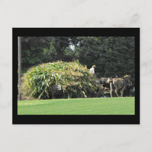 ~ Summer in Lancaster County ~ 57 Briefkaart