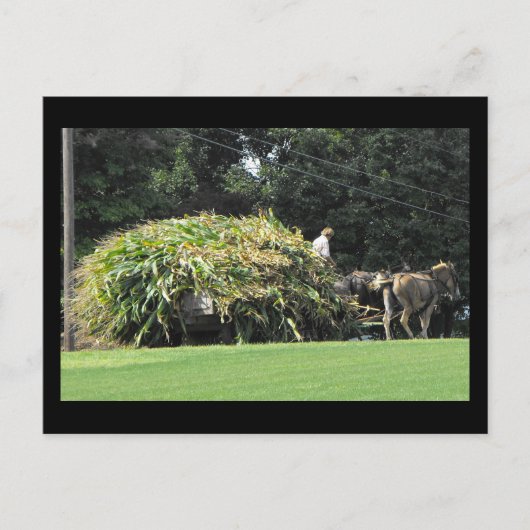 ~ Summer in Lancaster County ~ 57 Briefkaart (Voorkant)