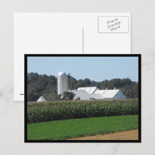 ~ Summer in Lancaster County ~ 70 Briefkaart (Voorkant / Achterkant)